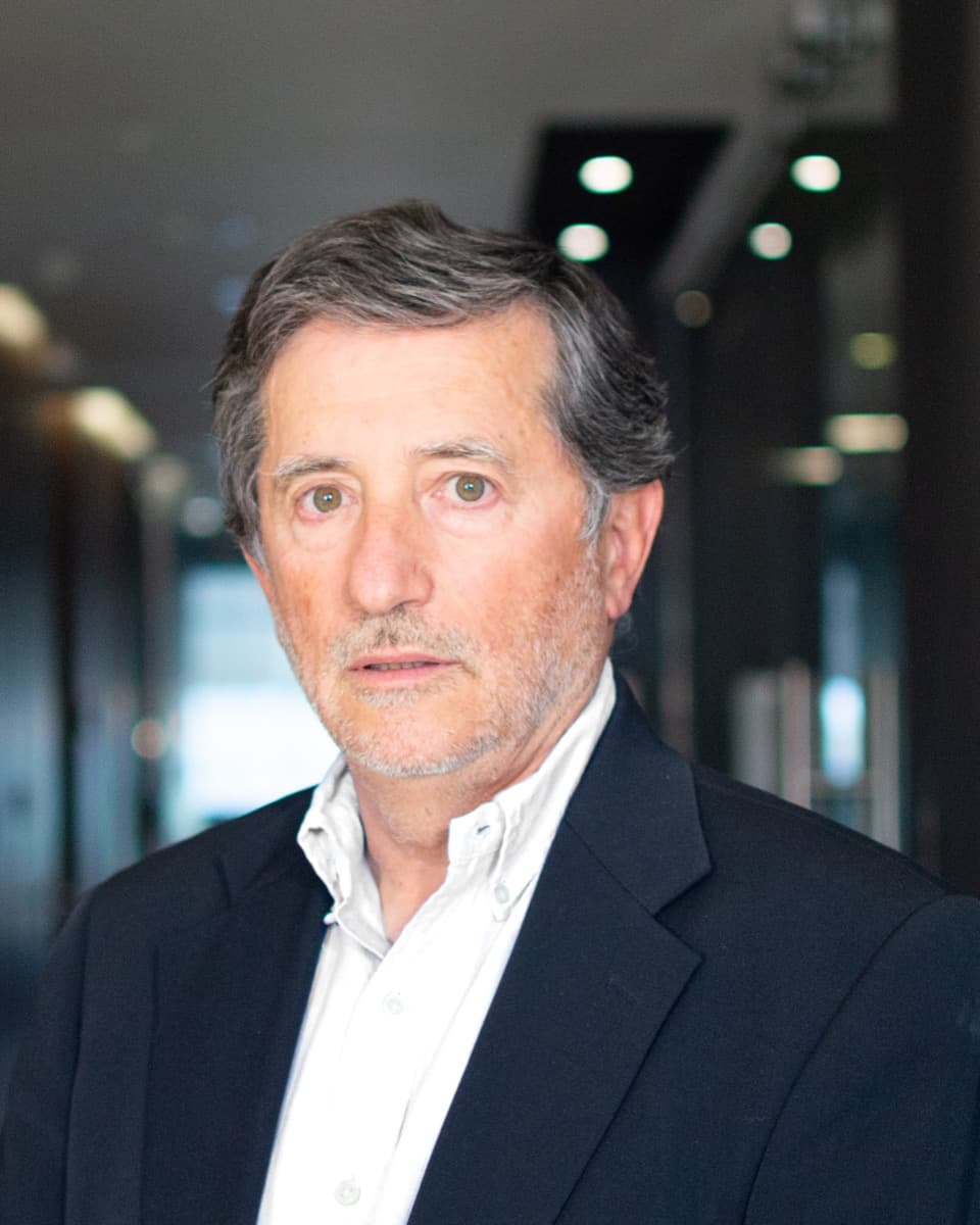 Ricardo Manuschevich W.: Asesor del Directorio